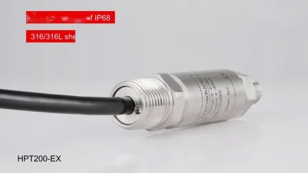 IP65 Искробезопасный взрывобезопасный вариант